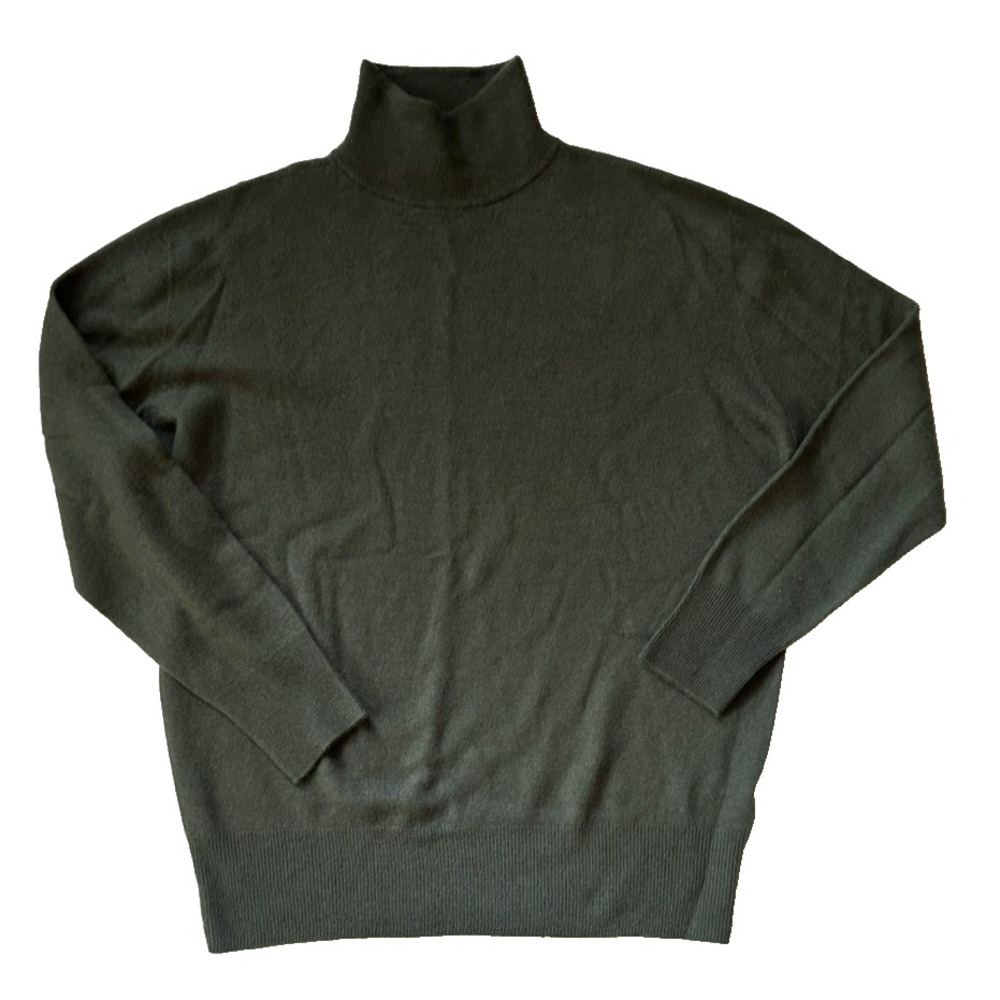 Zara Turtle Neck 100% Wool Preppy Modern Clean Girl Perfect Green Size L